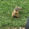 squirrelady22