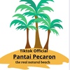 Pantai Pecaron Official