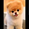 buscandoteajudar