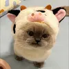 depzaikocanhoi