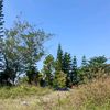 siapp_12
