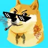 yanghomom.z