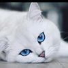 ilovesunshine18