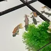nini_08._.z