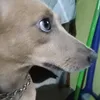 alyannahiz_