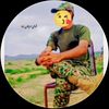 hassansarhalain