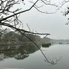 hoangclub86
