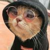 bro_dyto7