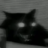 kaaaaaaaaktus