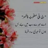 umaryasin630