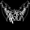 blackwolfreturns