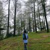aryuni.267