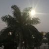 latsunshine