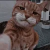 quenieyleo_