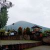 paramitha493