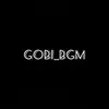 Gobi_.Bgm⚡