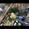 manuelpacheco527