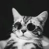 meawmeaw643