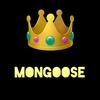 mongoose0211