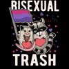 ringo_da_raccoon5