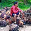 ost_imam_shipuden