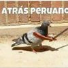 911policiadeperuanos