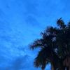 __shamma1