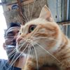 ridhodoank02