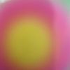 borscht_soup0