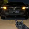 hamza___h4mz4