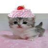 avamayberryyyy