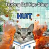 duynguyen48137