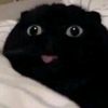 _diegrox_