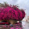 emadbeshay848