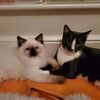 romyandlucyrock