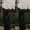 khoirunnikmah9593