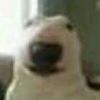 oskuzv