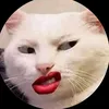 phanhhyy