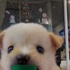 yulinsan_
