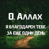 orhan_ackerov5