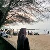luk_541