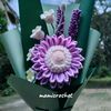 ida_shahida2