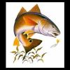 gone_fishing205