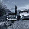 mestnii_36