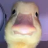 18._9_.10