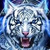 tiger_t32