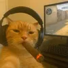 rlk_catatau22