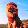 jioseff.leone