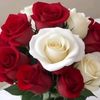 bitalbaz0