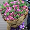 hangpham15470